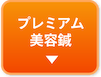 プレミアム美容鍼