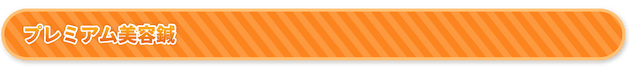 プレミアム美容鍼